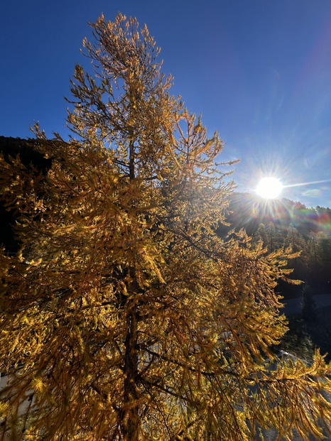 L’automne c’est bôooo 🤩