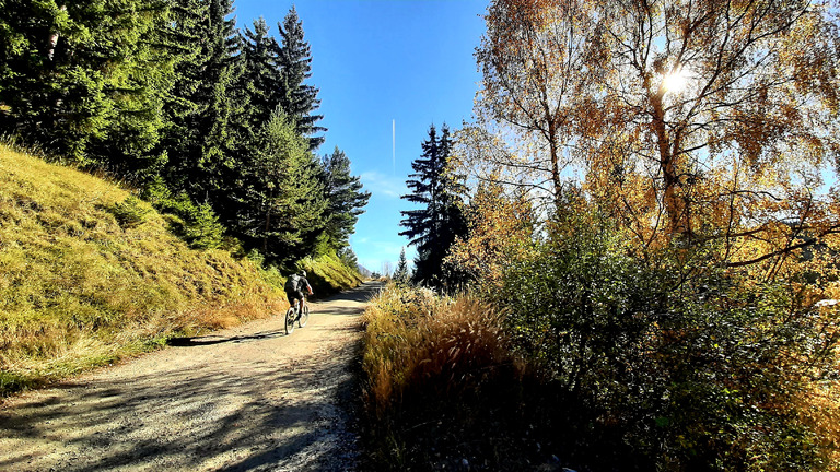 4 saisons en automne, l'effet Whaou 🤘