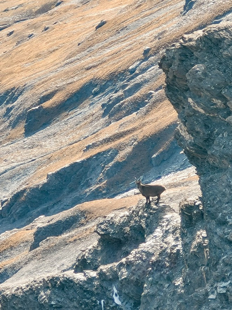 Dernières escapades avant l'hiver - La Grande Sassière