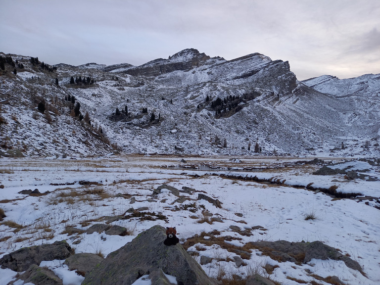 Une tres jolie poudre inskiable 