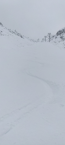 Pas mal du tout pour une première ! 