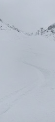 Pas mal du tout pour une première ! 
