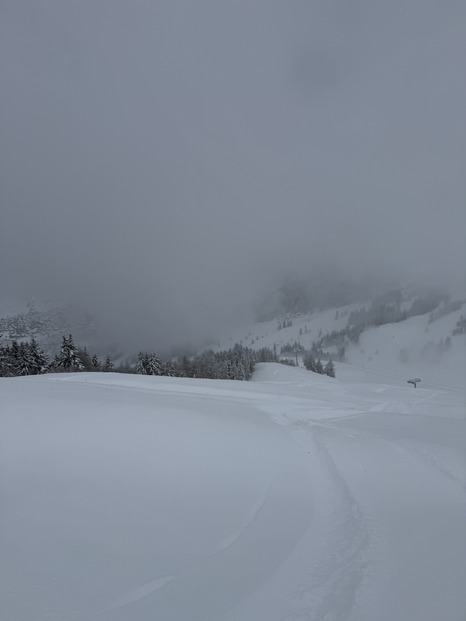 On voit (un peu)! Bonne descente!