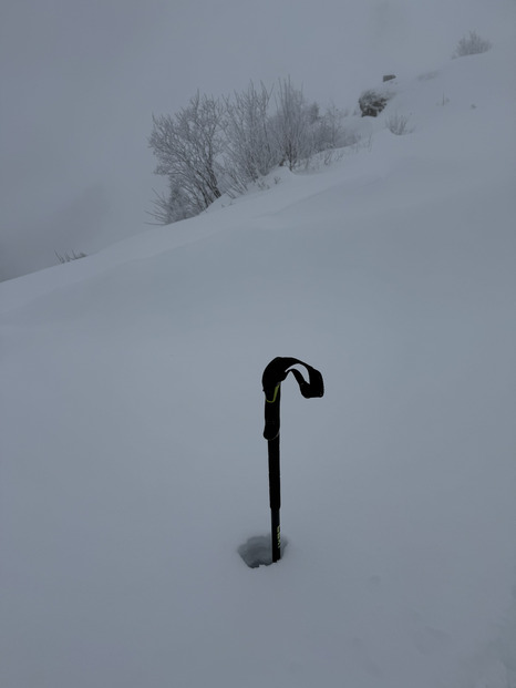 On voit (un peu)! Bonne descente!