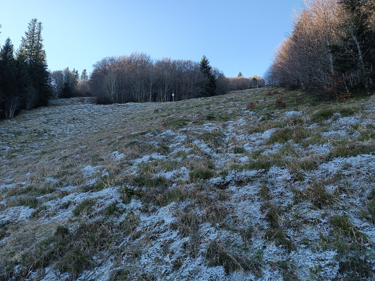 Weekend sans neige dans les Vosges