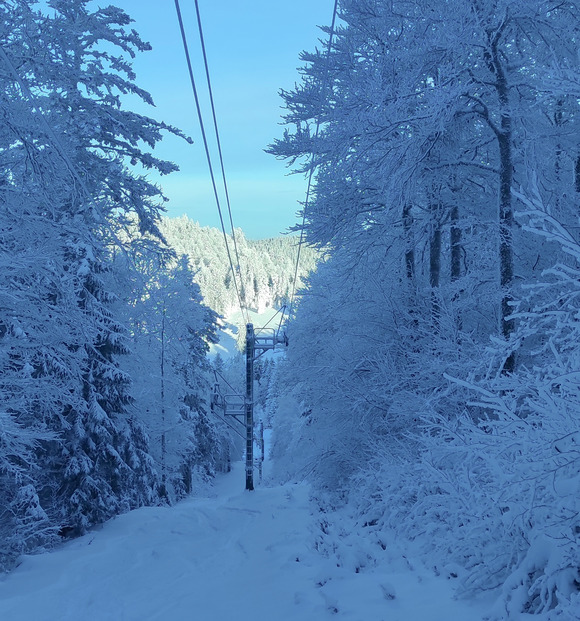 Dans les Vosges(la Bresse)c était des stères de neige😂