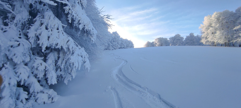 Dans les Vosges(la Bresse)c était des stères de neige😂