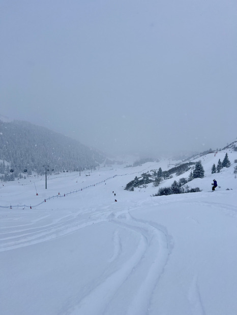 Belle livraison sur les 3 vallées