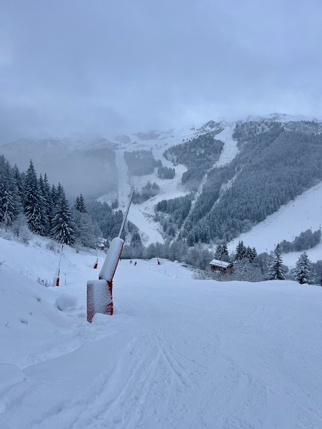 Belle livraison sur les 3 vallées