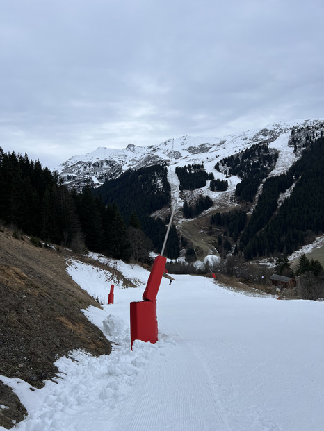 Belle livraison sur les 3 vallées