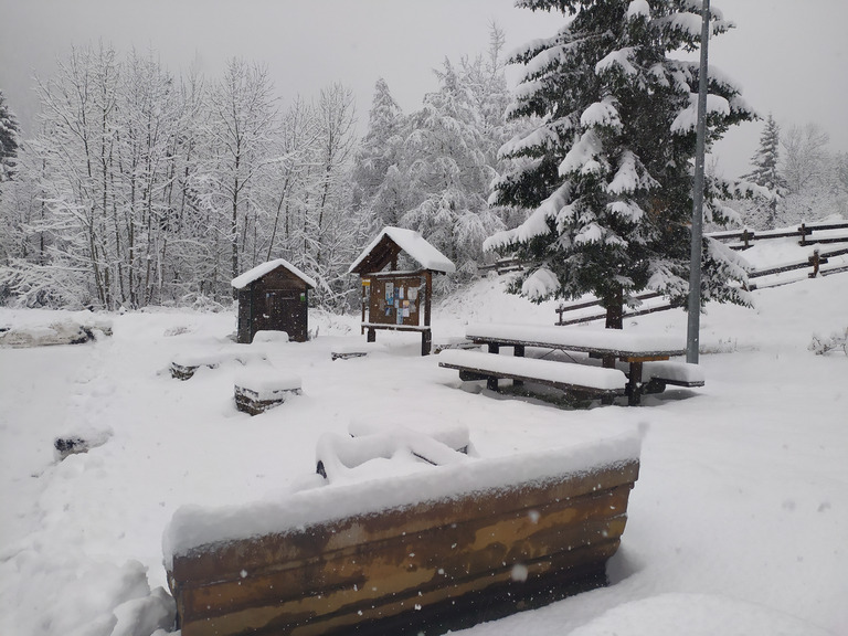 balade en foret nord belledonne