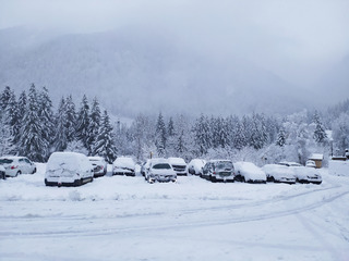 balade en foret nord belledonne