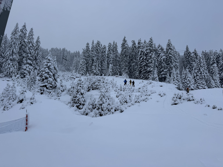 Matinée poudreuse à Avoriaz