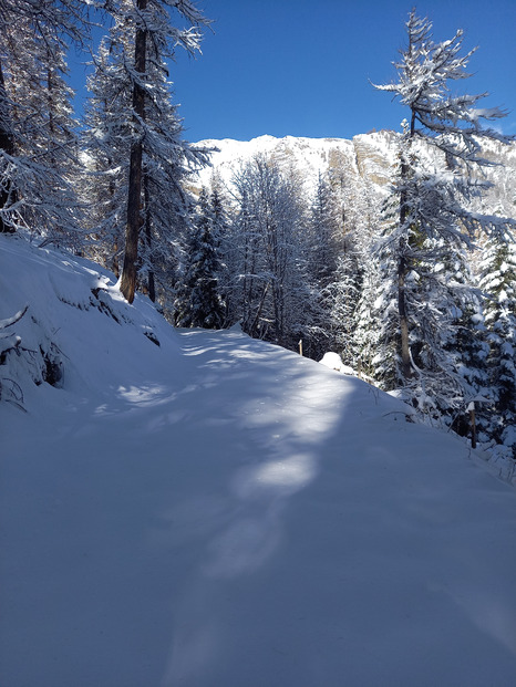 Du soleil et de la poudre dans le 05 !!!