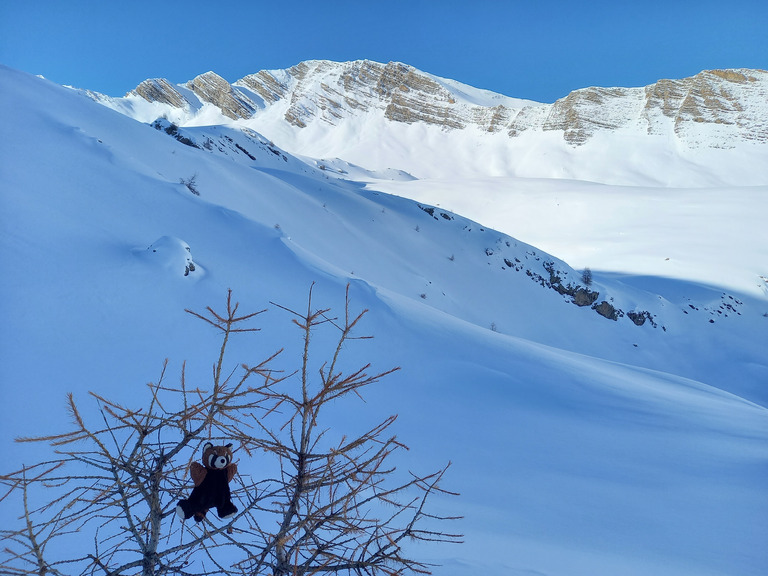 Du soleil et de la poudre dans le 05 !!!