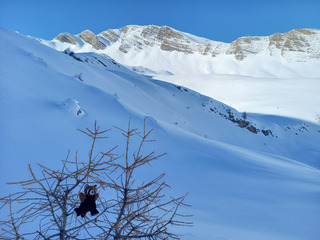Du soleil et de la poudre dans le 05 !!!