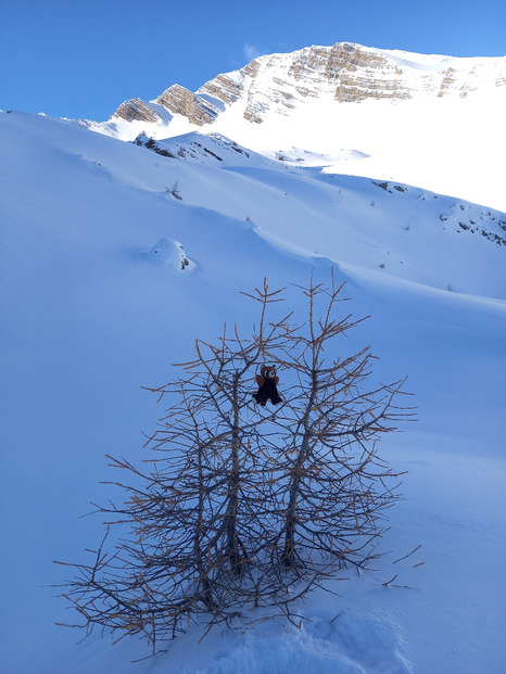 Du soleil et de la poudre dans le 05 !!!