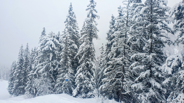 Belle Belle Belle comme Courchevel