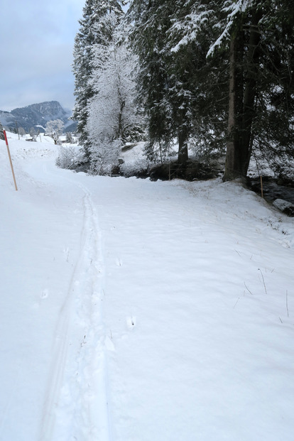 Ainsi naquit le ski cailloux.