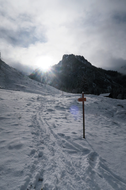 Ainsi naquit le ski cailloux.