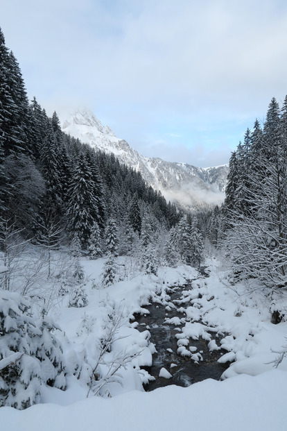 Ainsi naquit le ski cailloux.