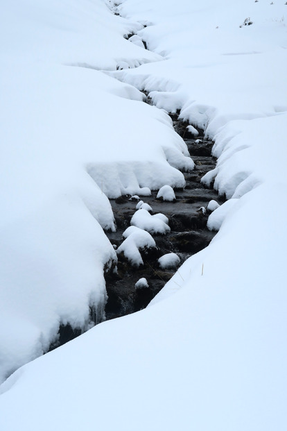 Ainsi naquit le ski cailloux.