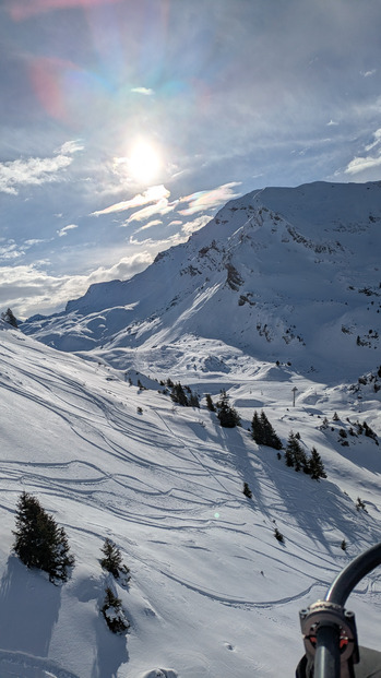 Tout beau à Avo !