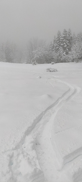 40 cm de poudre un poil lourde au Moucherotte 