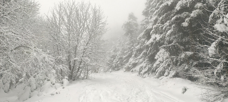 40 cm de poudre un poil lourde au Moucherotte 