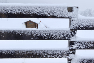 Une première belle chute de neige tant attendue…