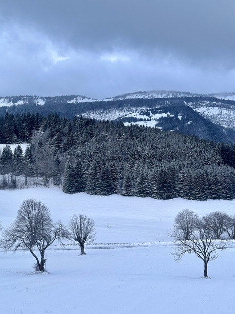 Belle chute de neige ventée dans le Vercors. Noël blanc assuré ! 🎄☃️