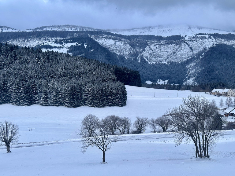 Belle chute de neige ventée dans le Vercors. Noël blanc assuré ! 🎄☃️