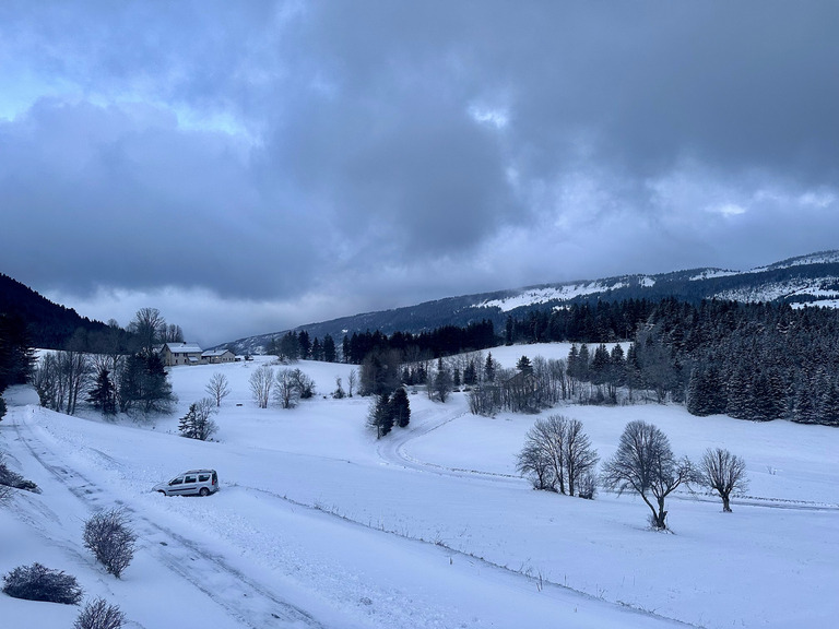 Belle chute de neige ventée dans le Vercors. Noël blanc assuré ! 🎄☃️