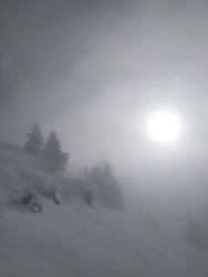 ski combat 
