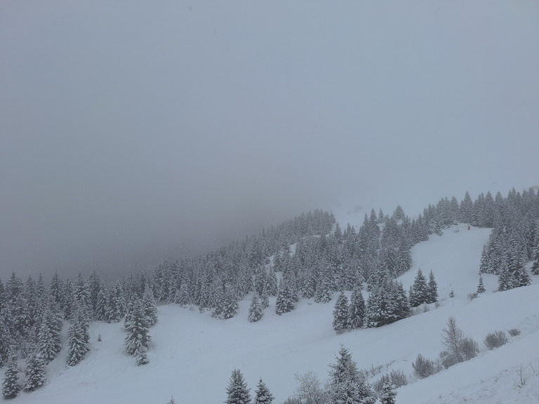 Journée hivernale 