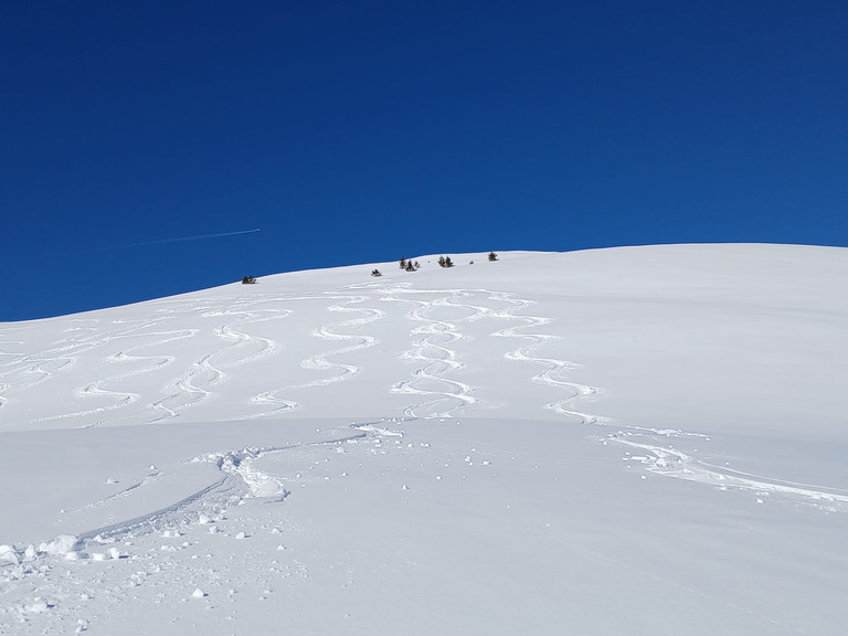 On a presque tout saisis aux Saisies 