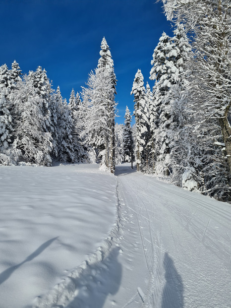 Le Vercors enneigé et froid