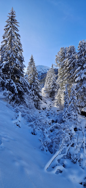 Magnifique journée sur les skis 