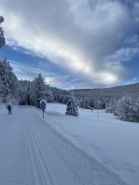 Villard de Lans - Le paradis du skating