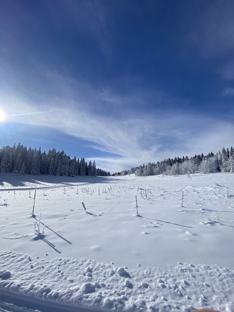 Villard de Lans - Le paradis du skating