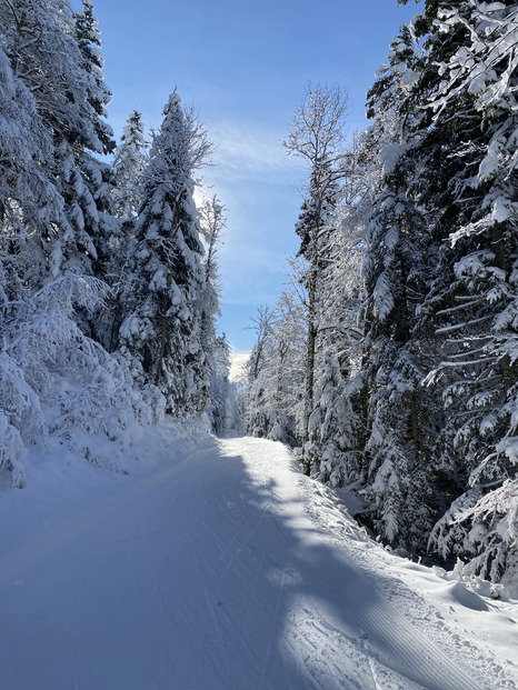 Villard de Lans - Le paradis du skating