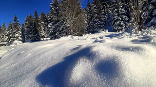 C'est ROYAL  ! Skating paillettes ! 👑 🤩
