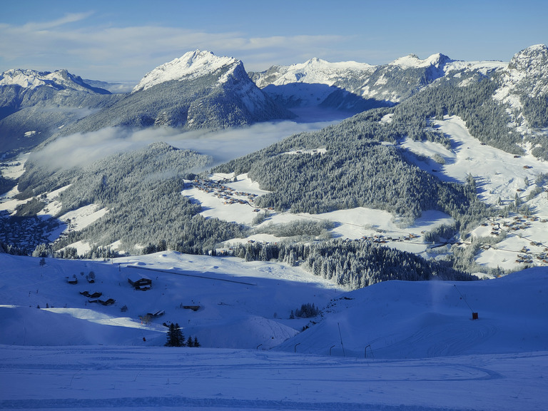 Domaine en préparation, et ça annonce du bon