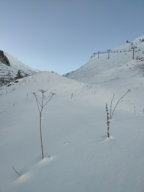 Domaine en préparation, et ça annonce du bon