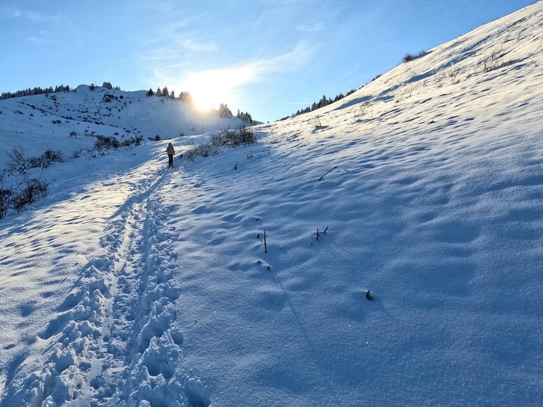 Alpes du leman Bonnes conditions 