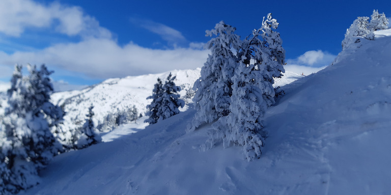 Ouverture réussie malgré une météo mitigée 👍