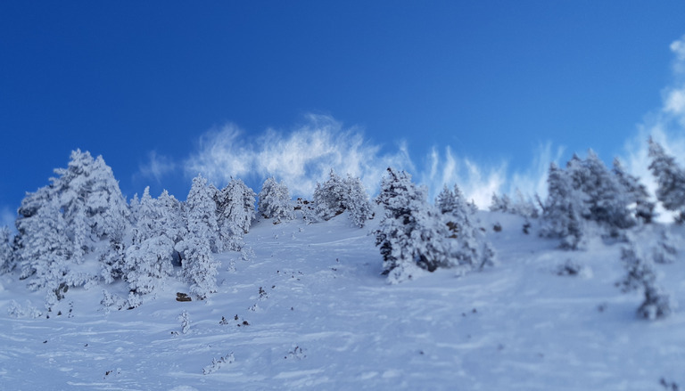 Ouverture réussie malgré une météo mitigée 👍