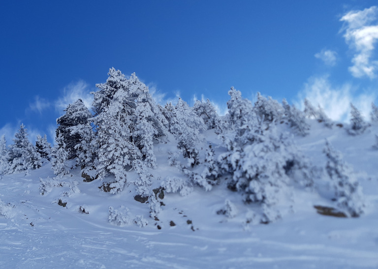 Ouverture réussie malgré une météo mitigée 👍