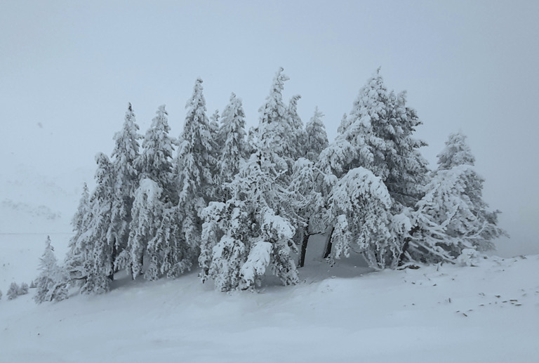 Ouverture réussie malgré une météo mitigée 👍