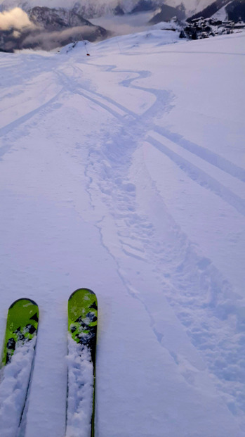 Encore de la fraiche !❄❄❄ 